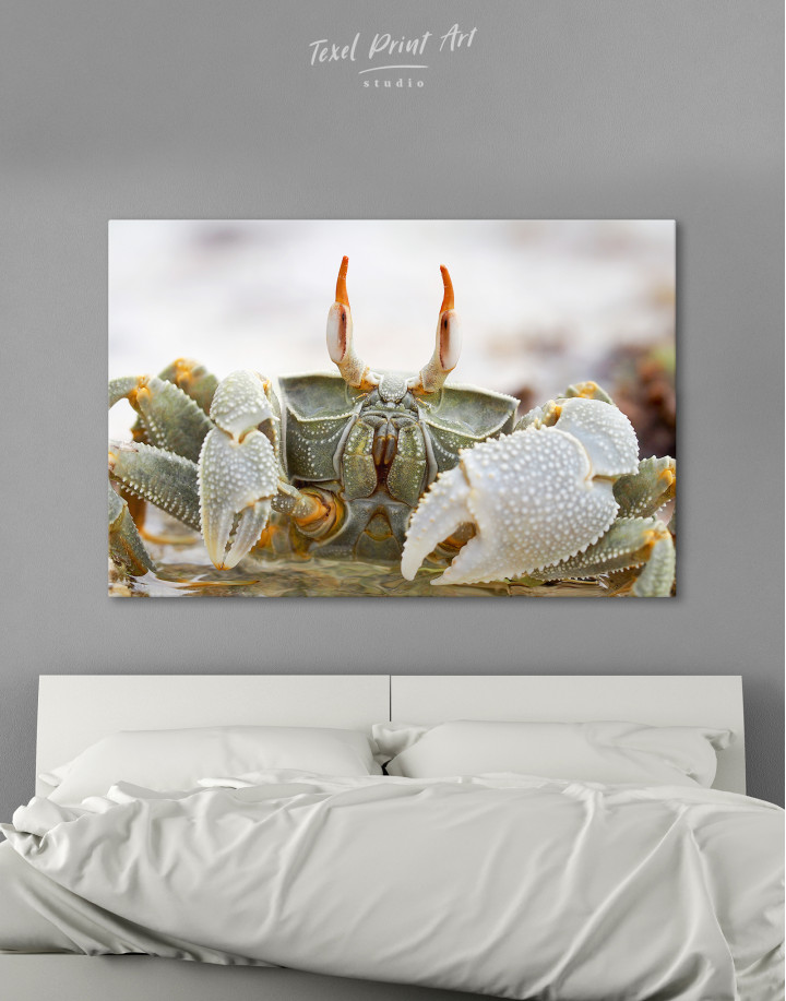 Horned Ghost Crab Canvas Wall Art