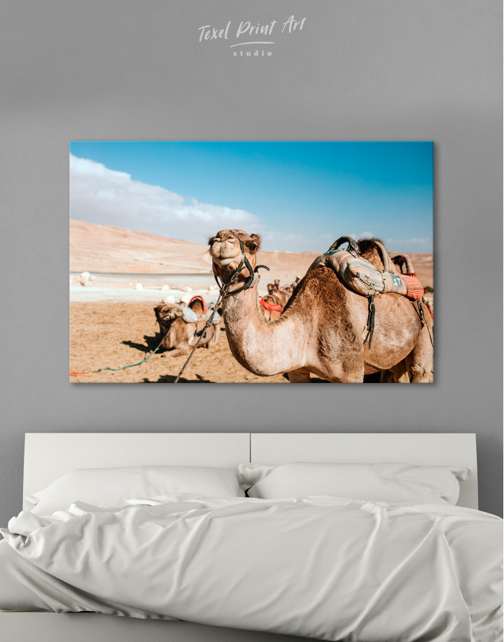 Camel Canvas Wall Art