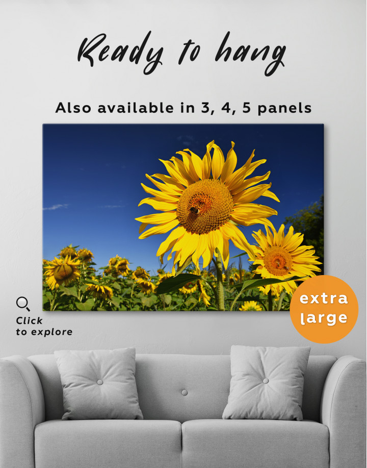 Sunflower at Field Canvas Wall Art