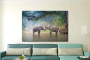 Elephants